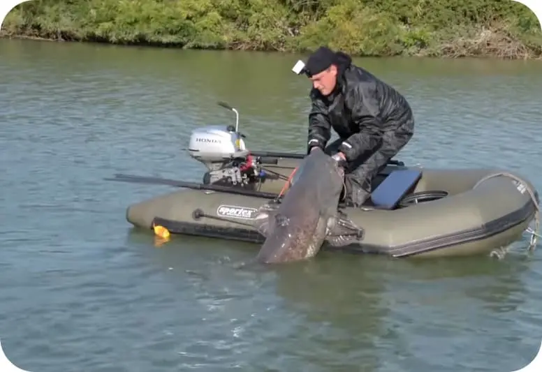 Catching catfish in autumn - September, October, November