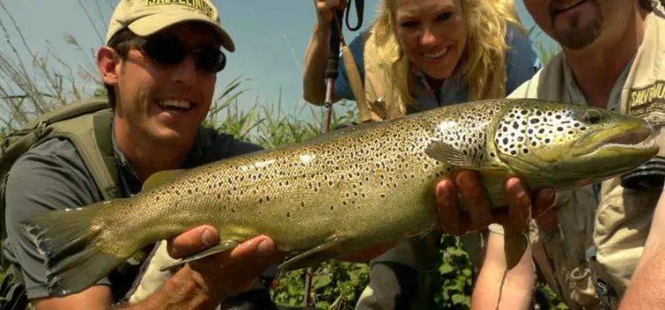 Catching char on a spinning rod and a float rod, on the Kola Peninsula