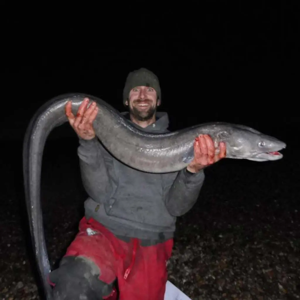 Catching conger eels on spinning: lures, methods and places for catching fish