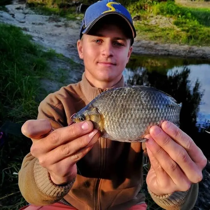 Catching crucian carp