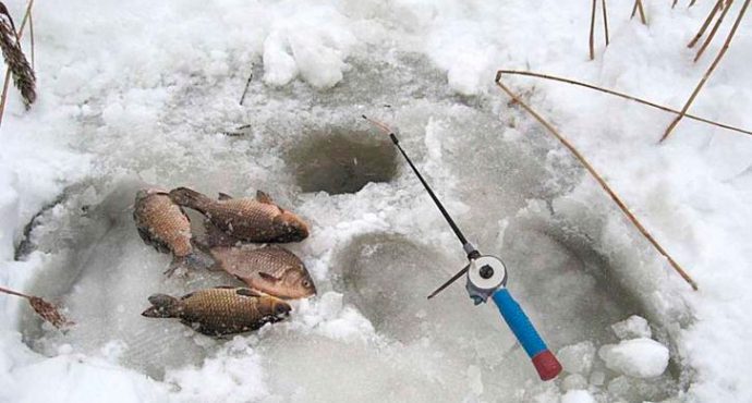 Catching crucian carp from the ice in winter: tackle, bait, crucian mormyshka