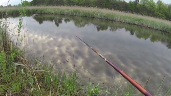 Catching crucian carp in the fall on a float rod, bait and biting time