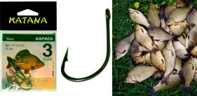 Catching crucian carp in the summer on a float rod: the right equipment, nozzles and bait