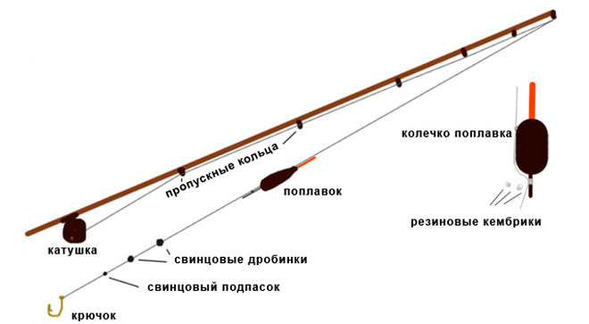 Catching crucian carp in the summer on a float rod: the right equipment, nozzles and bait