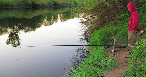 Catching crucian carp in the summer on a float rod: the right equipment, nozzles and bait