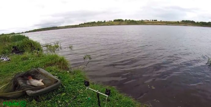 Catching crucian on a spring: how to make tackle and fishing technique