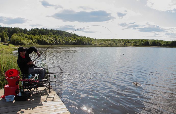 Catching grass carp on a float rod: baits, choosing a place for fishing