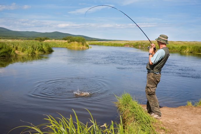 Catching grass carp on reeds: gear and fishing techniques