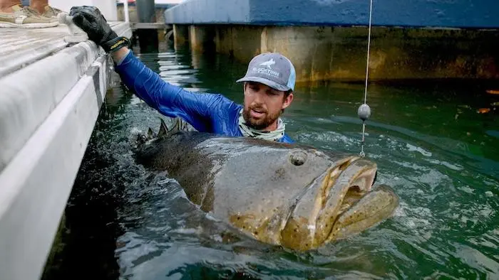 Catching Grouper: photo, description and places of fishing