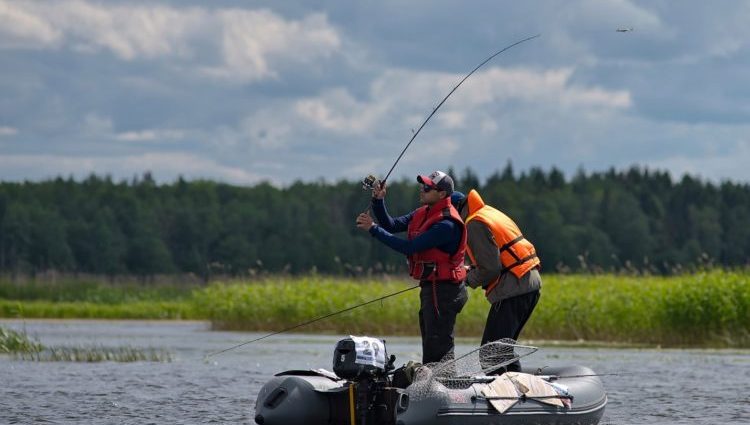 捕捉湖梭子魚：活餌和人工餌、捕捉方法和尋找捕食者的策略