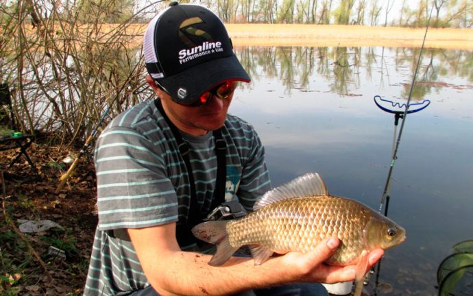 Catching large carp: on a float rod, on a feeder