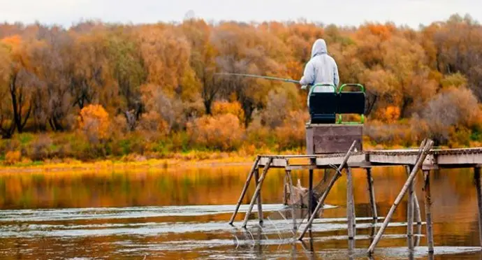 Catching large roach: bait and bait, tackle