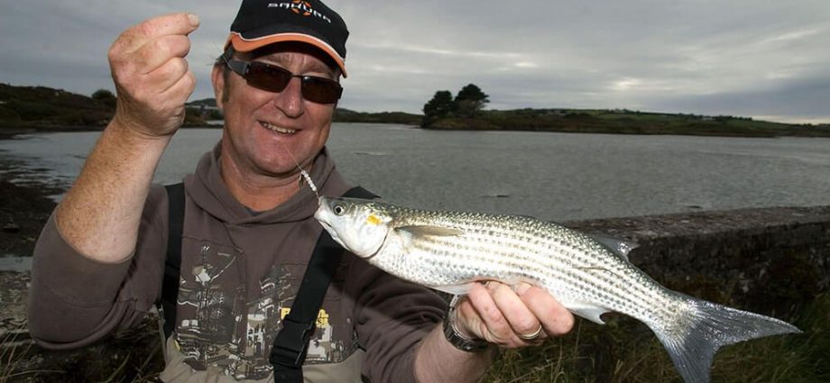Catching Mullet: lures, habitat and methods of catching fish