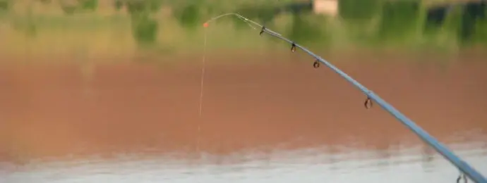 Catching on a side nod: fishing technique and making tackle with your own hands