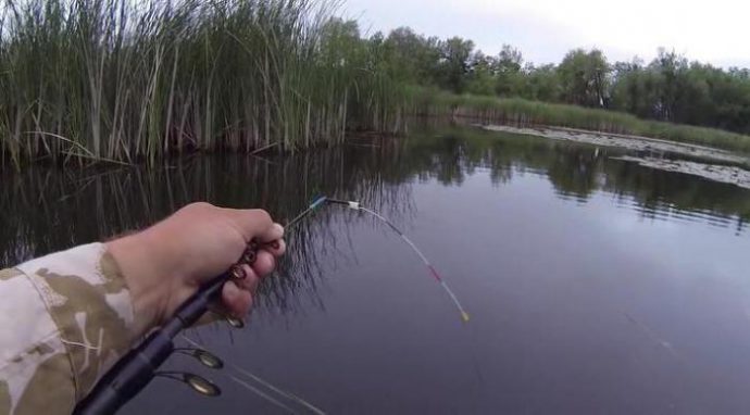 Catching on a side nod: fishing technique and making tackle with your own hands