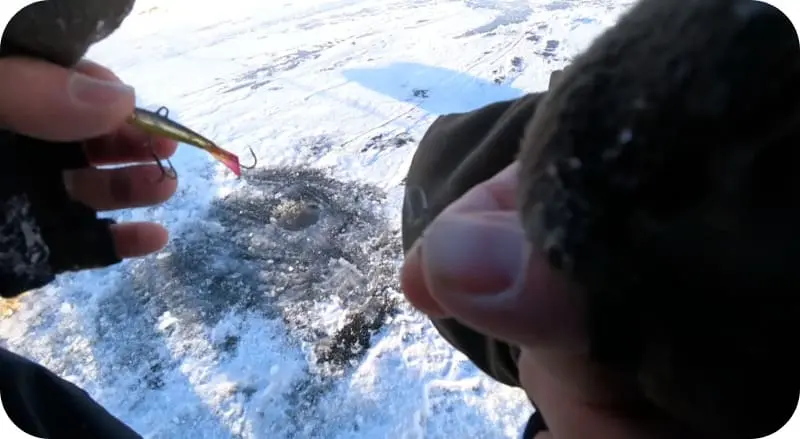 Catching perch on a balancer: fishing techniques and secrets