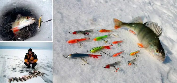 Catching perch on a balancer in winter, the best models of balancers