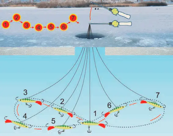 Catching perch on a balancer in winter, the best models of balancers