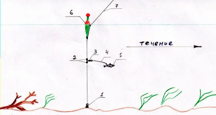 Catching perch on live bait, rigging a fishing rod, how to get and plant a live bait