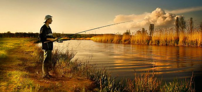 Catching perch on spinning: spring, summer, autumn. Lures and fishing techniques.