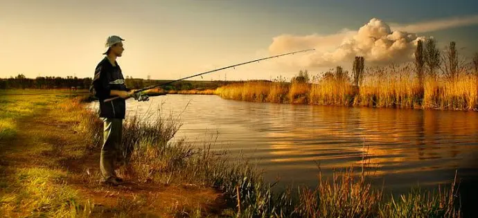 Catching perch on spinning: spring, summer, autumn. Lures and fishing techniques.