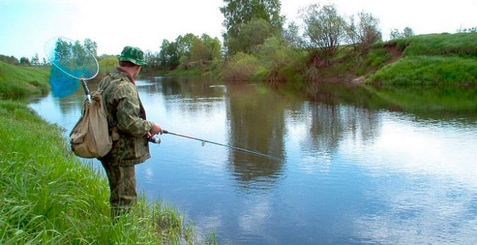 Catching perch on spinning: spring, summer, autumn. Lures and fishing techniques.