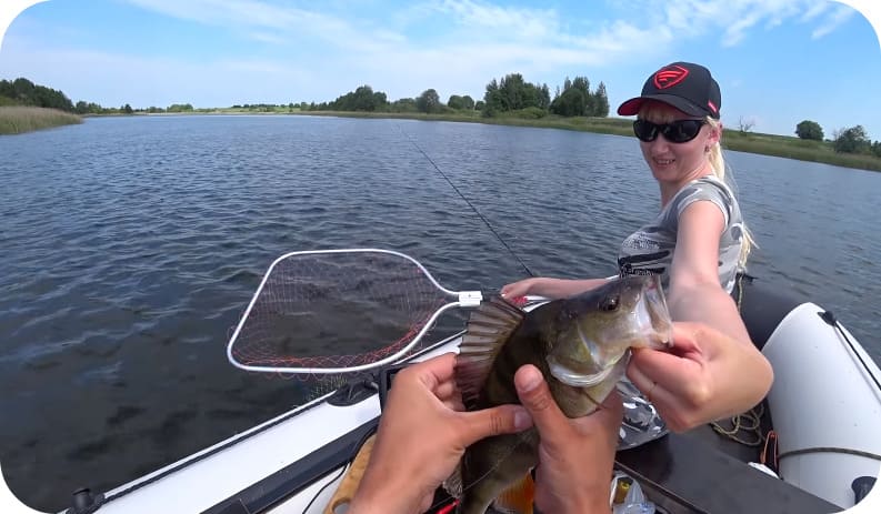 Catching perch on spinning: the secrets of the best catch