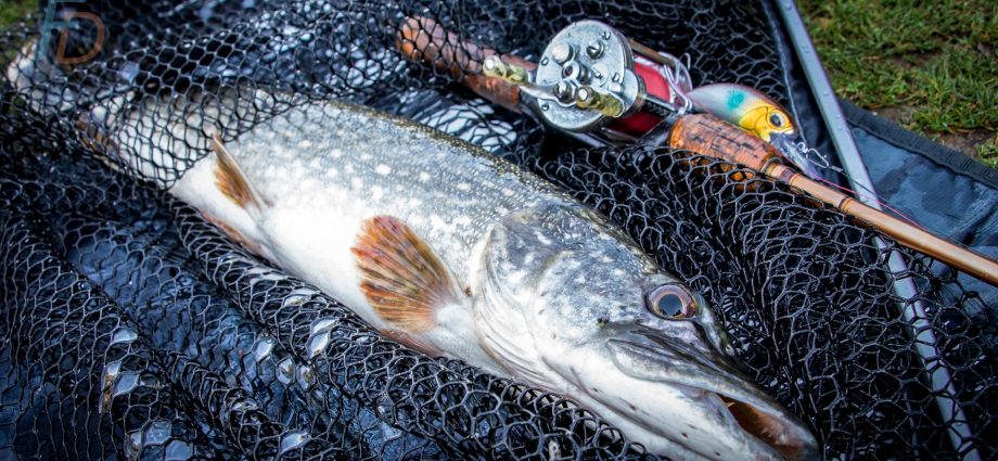 Catching pike in the spring: tackle for catching pike on a spinning rod
