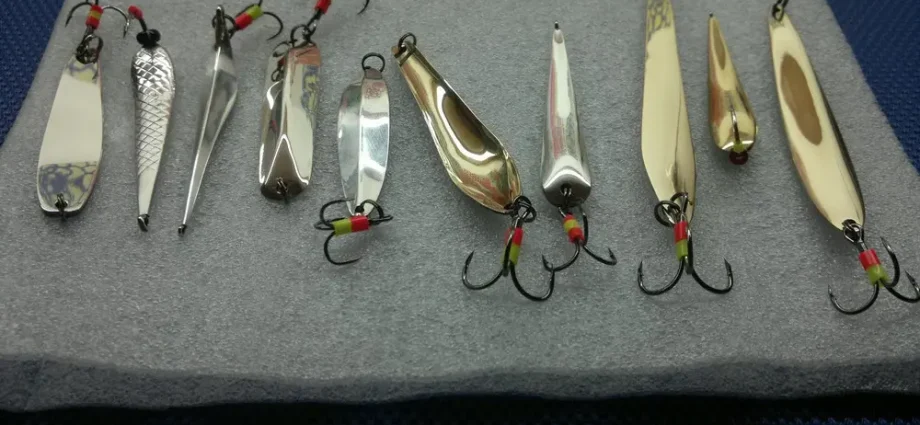 Catching pike in the winter on a lure. Top 10 best winter lures for pike