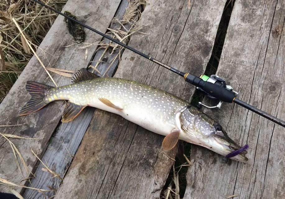 Catching pike on an ultralight spinning rod. micro jig
