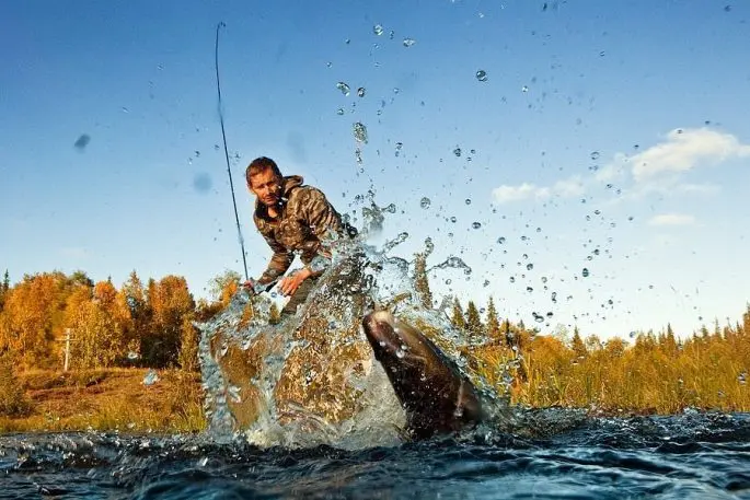 Catching pike on live bait: how to catch from the shore, float fishing rod