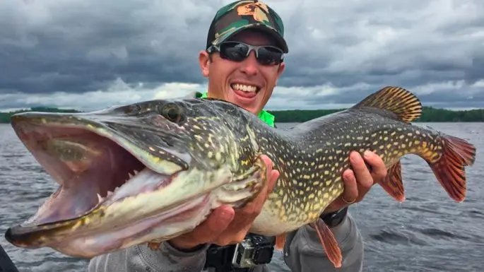 Catching pike on live bait: how to catch from the shore, float fishing rod