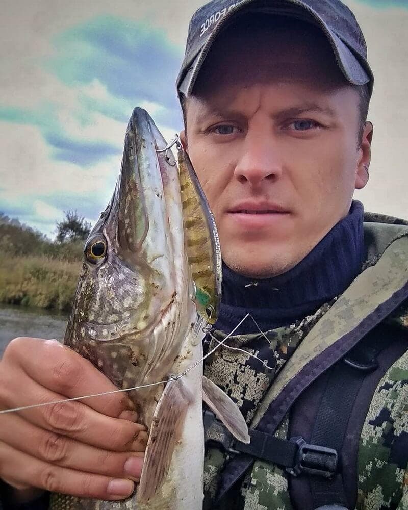Catching pike on live bait in autumn