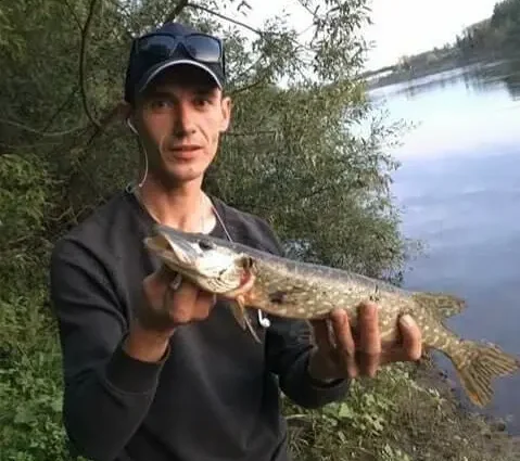 Catching pike on the bait in the summer