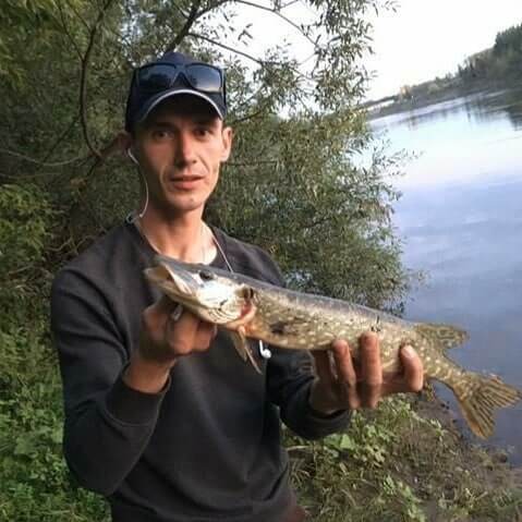 Catching pike on the bait in the summer