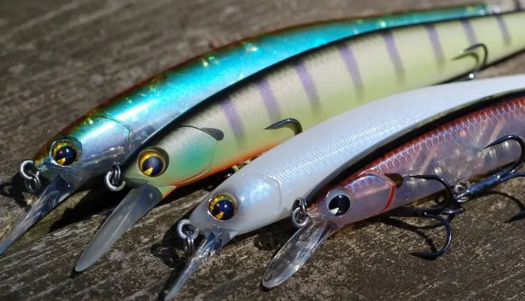 Catching pike on wobblers in the spring. Top 10 best spring wobblers