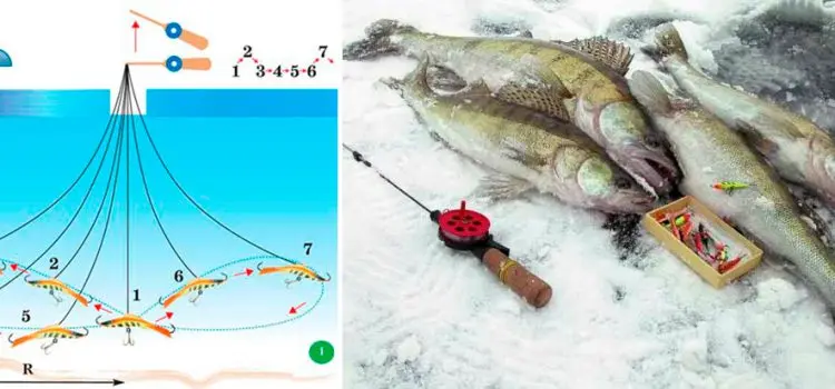 Catching pike perch in winter on a balancer: equipment and fishing techniques