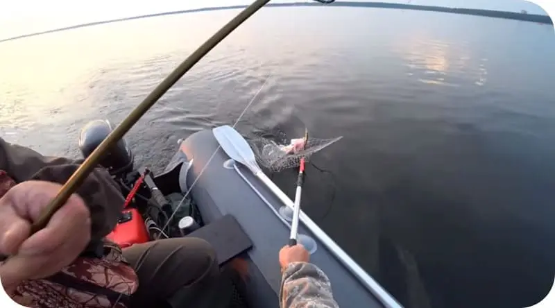 Catching pike perch on trolling &#8211; how to fish in the summer