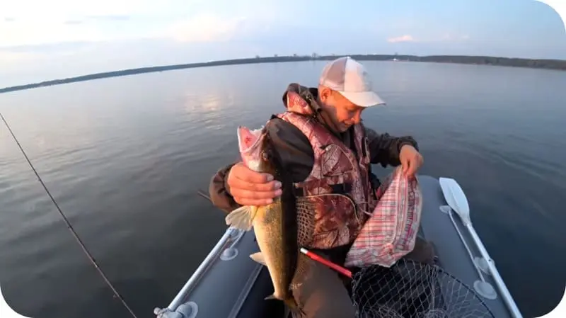 Catching pike perch on trolling - how to fish in the summer