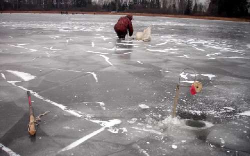 Catching pike perch on zherlitsy in winter: tackle, bait, fishing for sprat