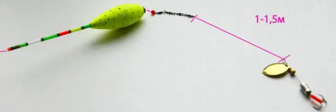 Catching rudd on a float rod and spinning, in spring and summer