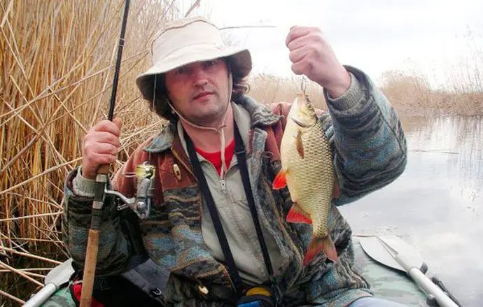 Catching rudd on a float rod and spinning, in spring and summer