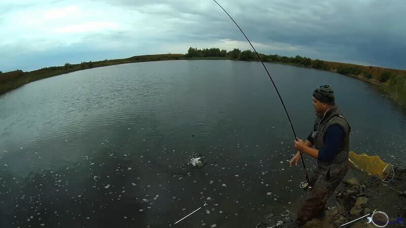 Catching sabrefish