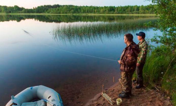 Catching sabrefish with an elastic band: making tackle, fishing technique