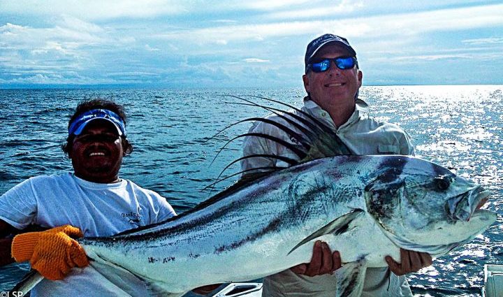 Catching sea fish Rooster: lures, habitats and fishing methods