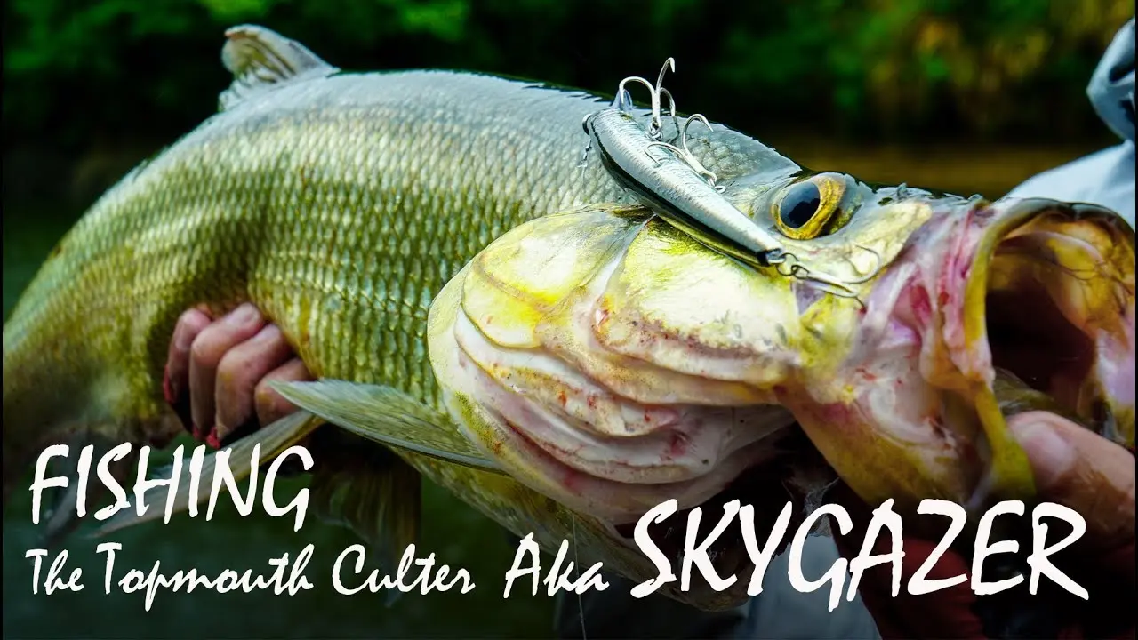 Catching Skygazer on spinning: habitat, lures and methods of catching fish