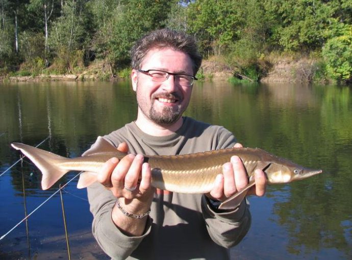 Catching sterlet on the donk, gum and hooks, tackle and bait