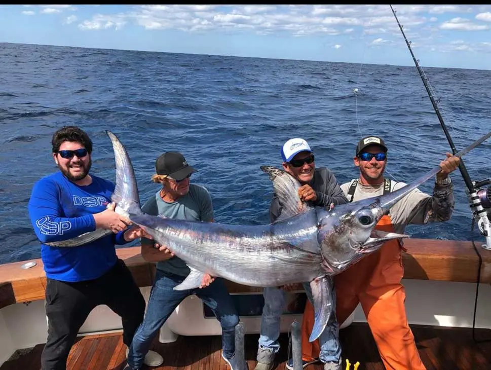 Catching Swordfish: lures, locations and all about trolling