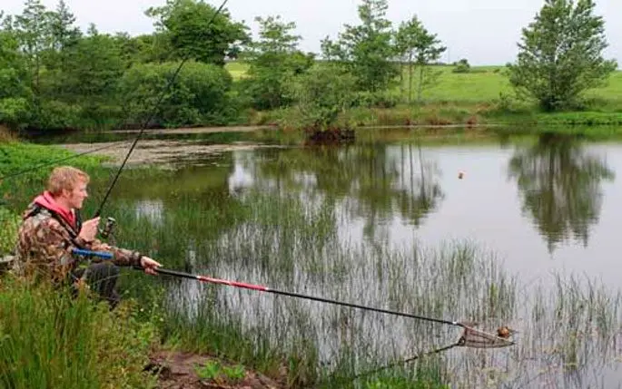 Catching tench in May on a float rod: baits, fishing techniques