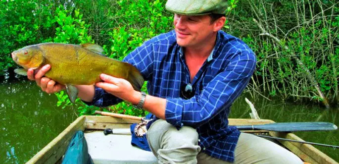 Catching tench in May on a float rod: baits, fishing techniques